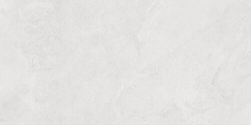 Porter Silver PRO Керамогранит светло-серый LP6012G0171R 59,5х119,1 матовый карвинг R10 STR