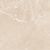 Carnico Beige Керамогранит бежевый 60x60 Полированный