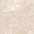 Carnico Beige Керамогранит бежевый 60x60 Полированный