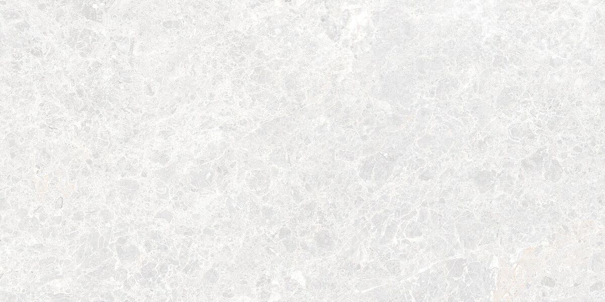 Emperador Blanco Керамогранит светло-серый 60х120 матовый карвинг