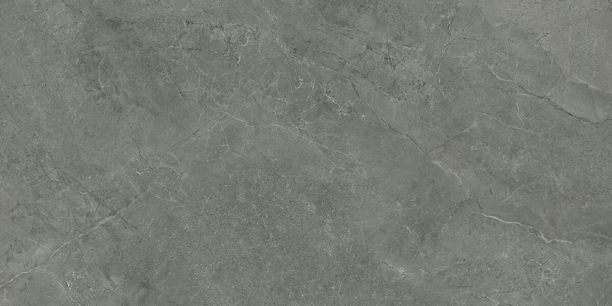 Pluto Grigio Керамогранит серый SG50005320R 59,5х119,1 матовый