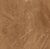Elegant Armani Gold Керамогранит 60х60 Полированный