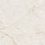 Gravity Sand Керамогранит песочный SG608922R 60х60 полированный