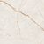 Gravity Sand Керамогранит песочный SG608922R 60х60 полированный