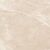 Carnico Beige Керамогранит бежевый 60x60 Полированный