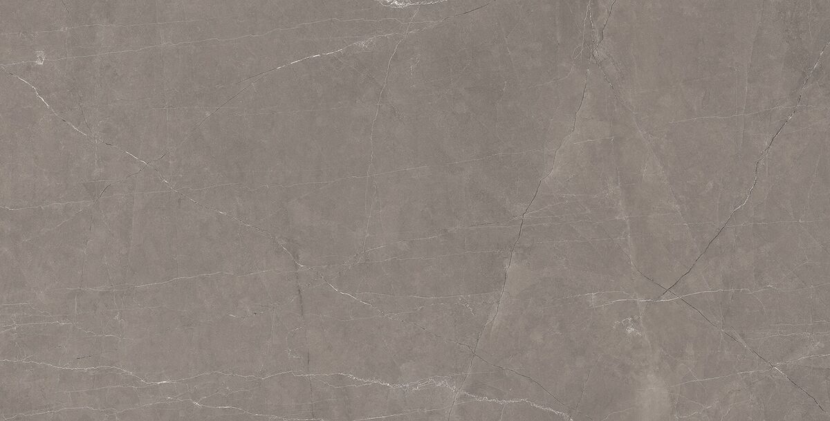 Splash Grey Керамогранит серый 60х120 Сатинированный Карвинг