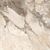 Exence Beige Керамогранит бежевый 80х80 полированный