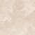 Carnico Beige Керамогранит бежевый 60x60 Полированный